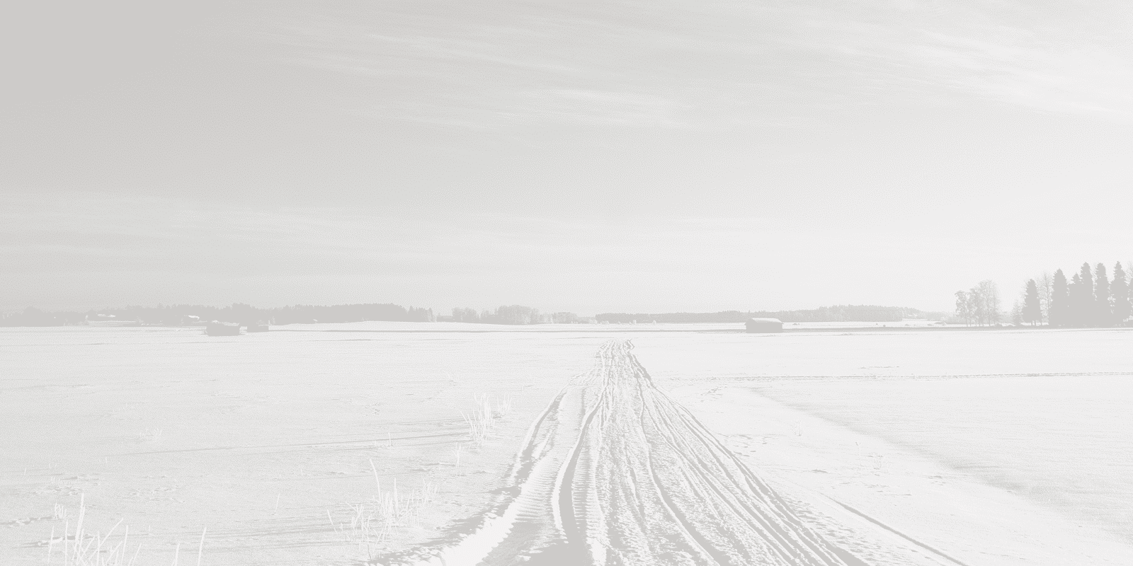 furfinland-header turkisala